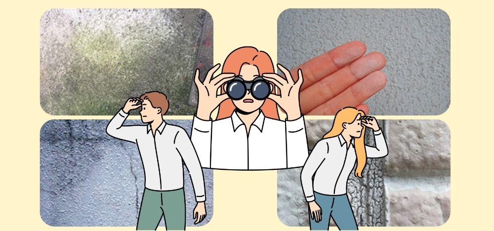 外壁の劣化症状