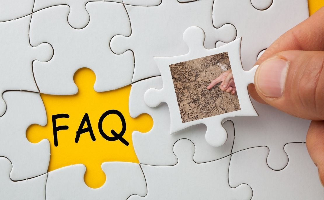 FAQ｜シロアリ被害と対策についてよくある質問