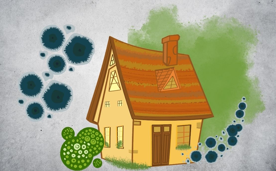 苔・カビ・藻の発生(空き家特有の危険サイン)