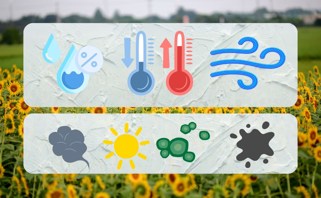 座間市の外壁が汚れやすい理由を知る前に｜気候・立地と建物特性の基礎理解