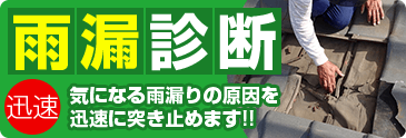 雨漏り診断