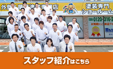 スタッフ紹介はこちら