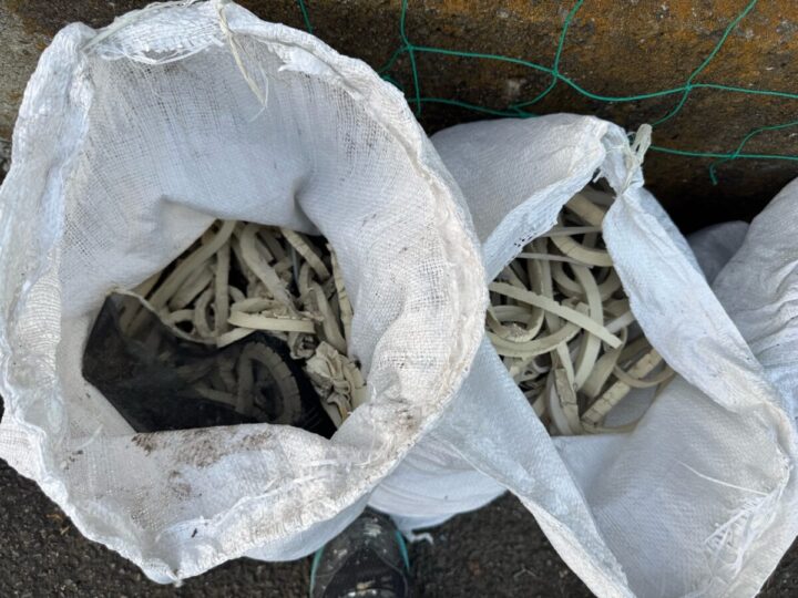 屋根 シーリング撤去