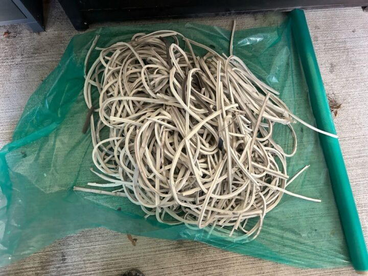 外壁 コーキング撤去