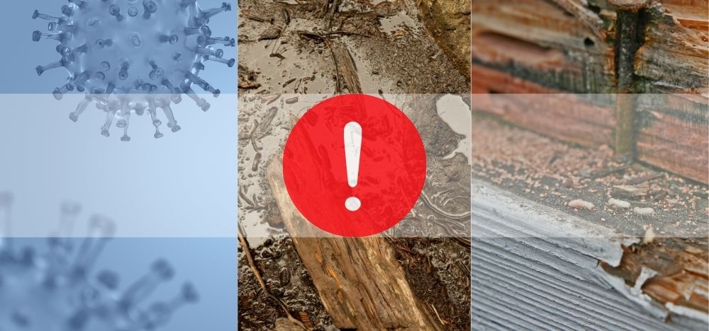 天井のシミを放置してはいけない3つのリスク