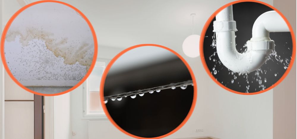 そのシミ、本当に雨漏り？原因を特定するチェックポイント